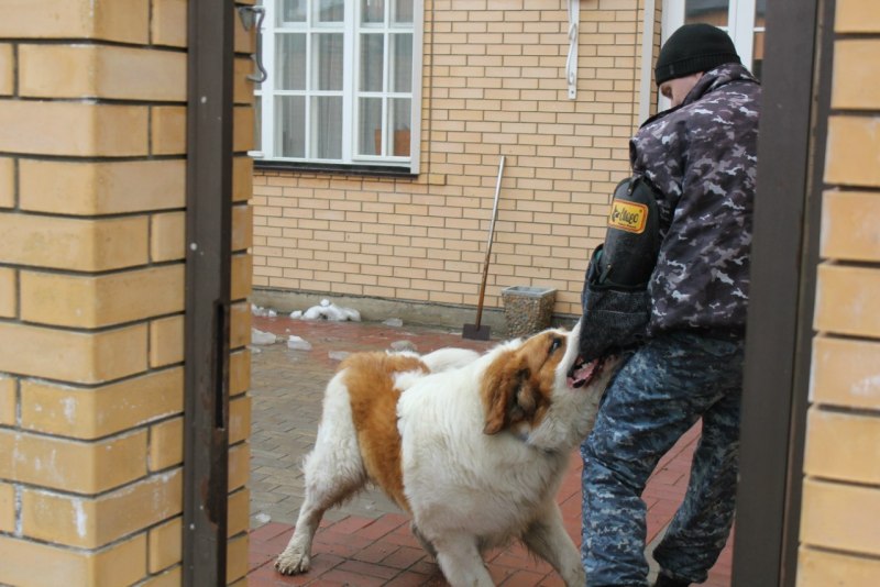 Кинологический центр Анубис