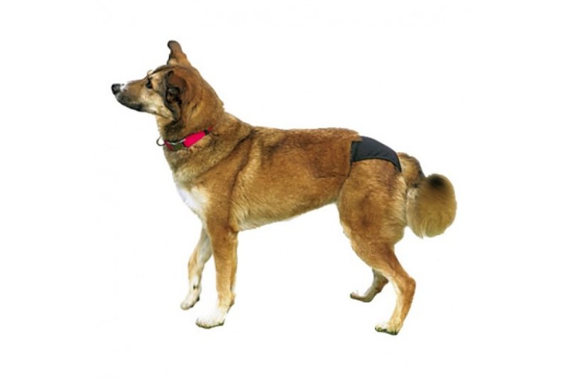 Подгузники для собак Ebi d&d Dog Pants Classic XL