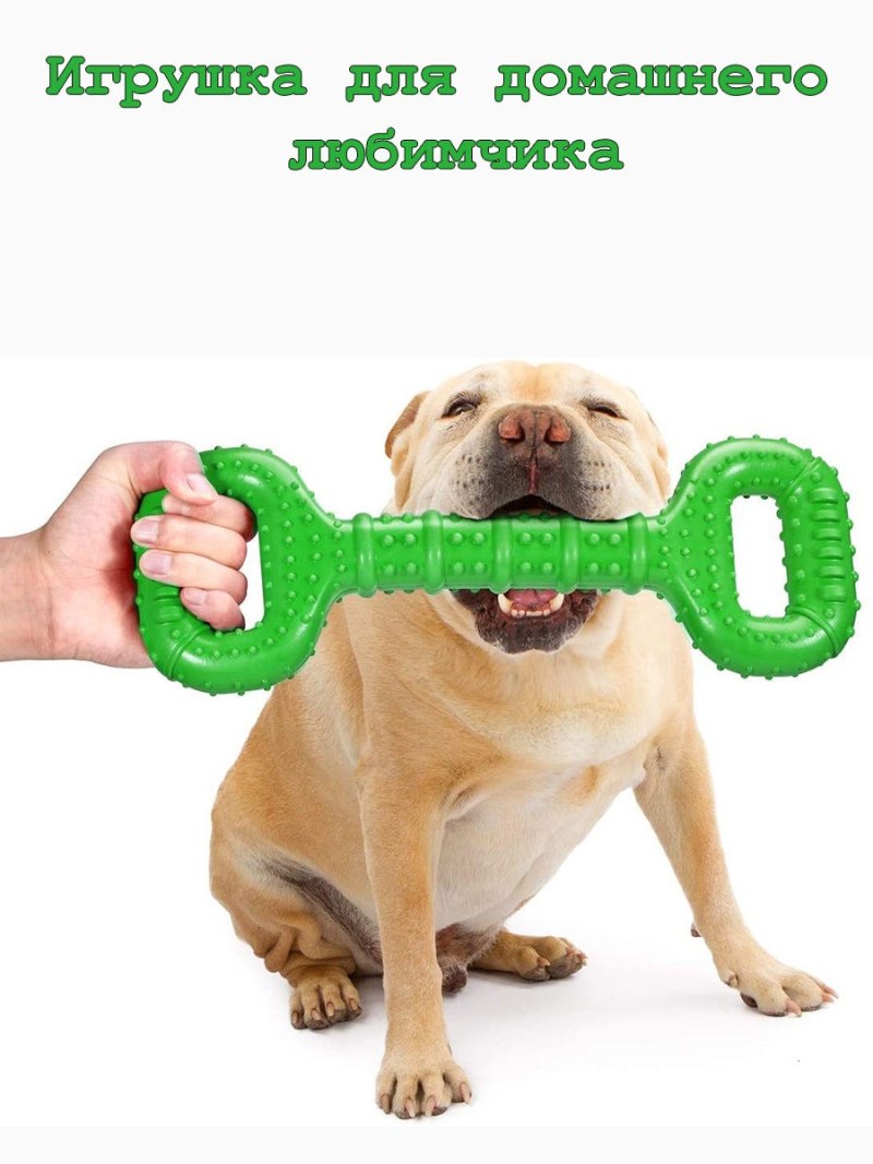 Pet Supplies