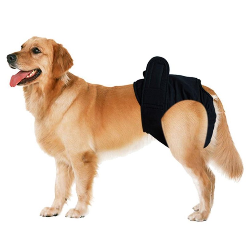 Подгузники для собак Ebi d&d Dog Pants Classic s
