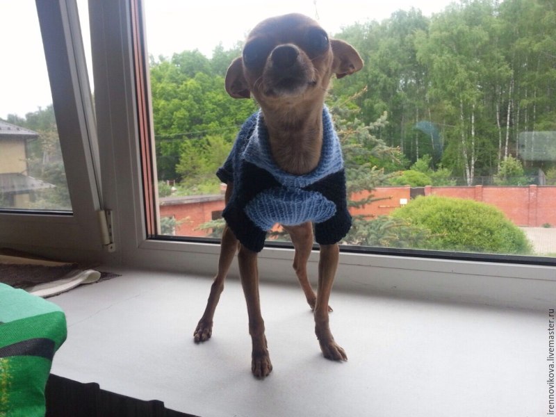 FORMYDOGS комбинезон зимний в 2