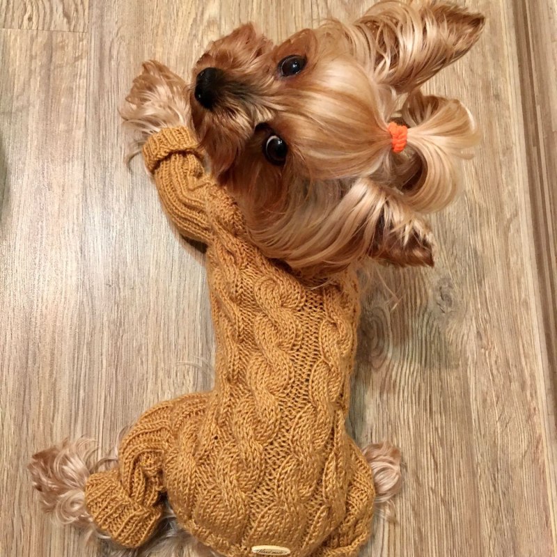 FORMYDOGS комбинезон для больших собак