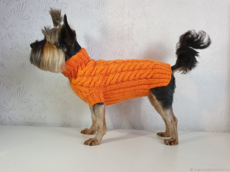 Комбинезон для собак DEZZIE 56355 мальчик, 25 см