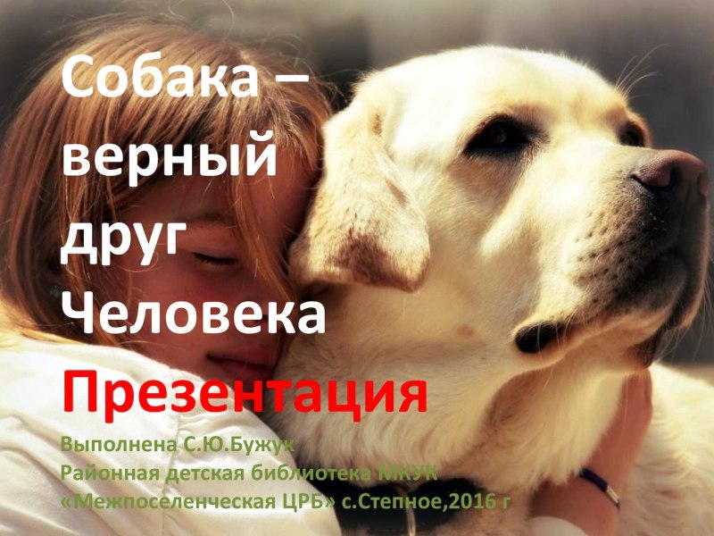 Верный друг человека