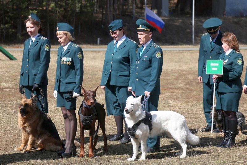 Конкурс служебные животные за городом