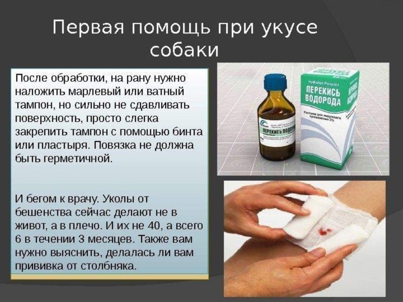 Щенок с забинтованной лапой