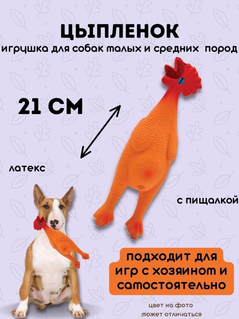 Самые лучшие породы собак