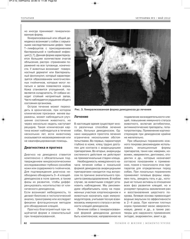 Осмотр собаки на клещей
