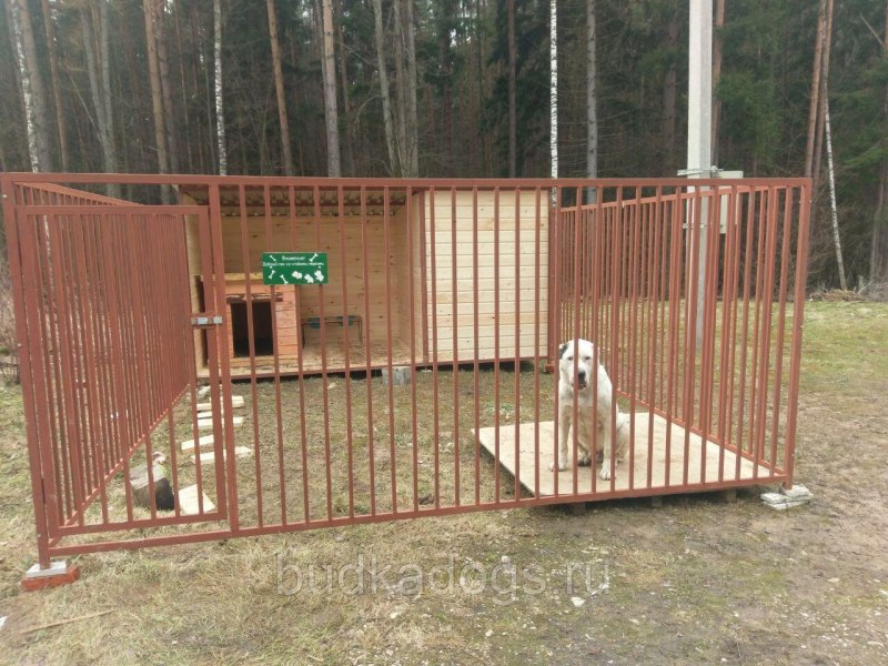 Вольер для собаки 500600