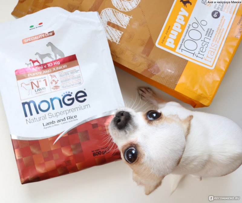 Monge Dog Mini корм для щенков мелких пород 800г