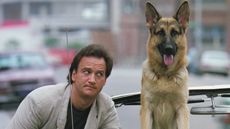 Джеймс Белуши k9