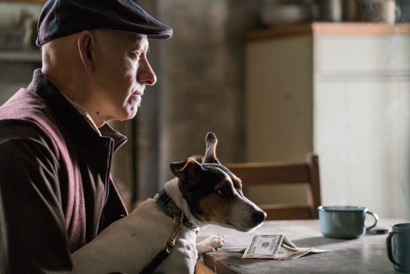 Рыжий пес (2011) Red Dog