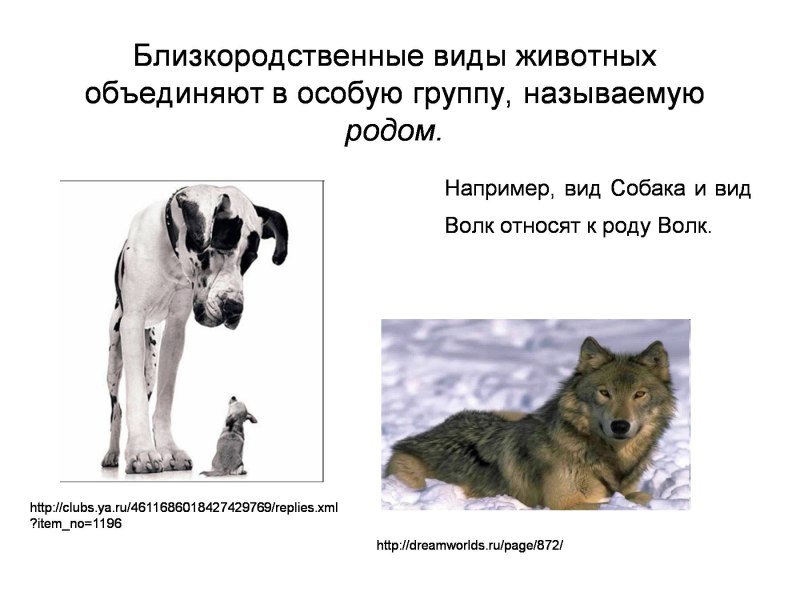 Царство Подцарство отдел класс семейство род вид