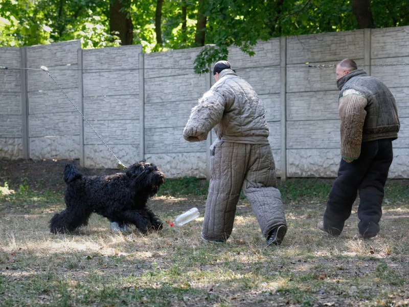 РЧТ охрана