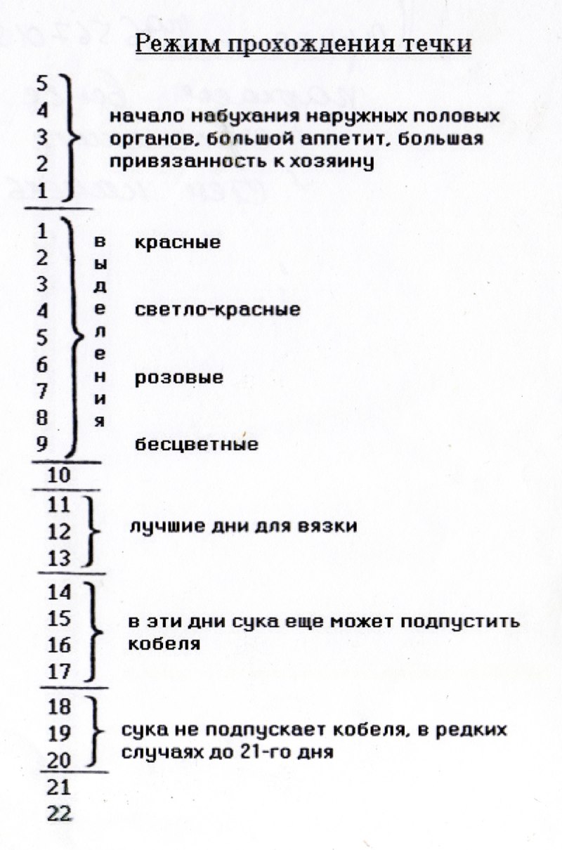 Трусы для собак Osso Comfort l