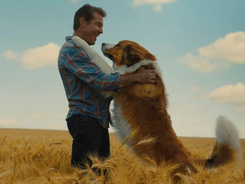Реми фильм 2019