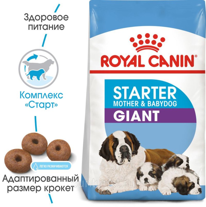 Корм Роял Канин для собак Джайнт стартер