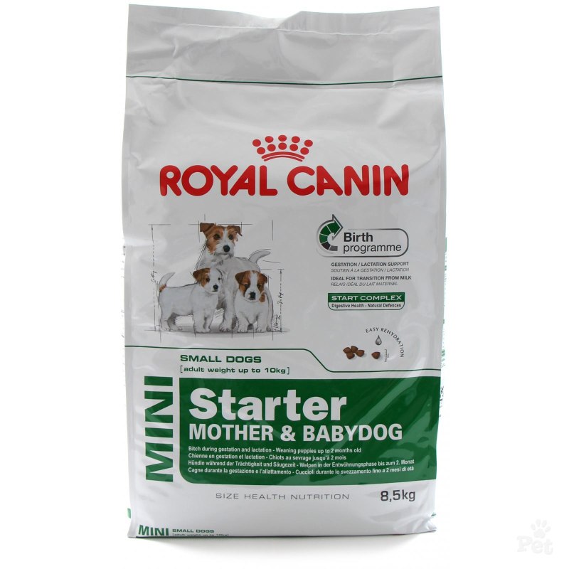 Корм сухой Royal Canin "Mini Starter"