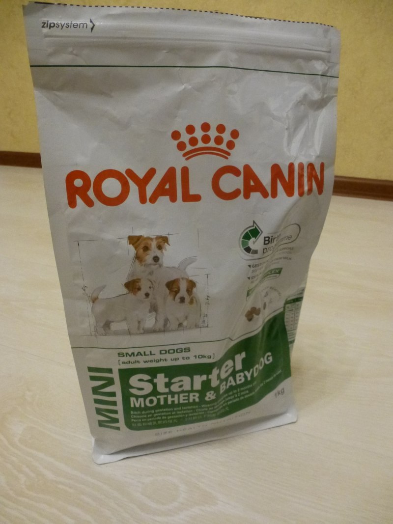 Роял Канин Starter Mini