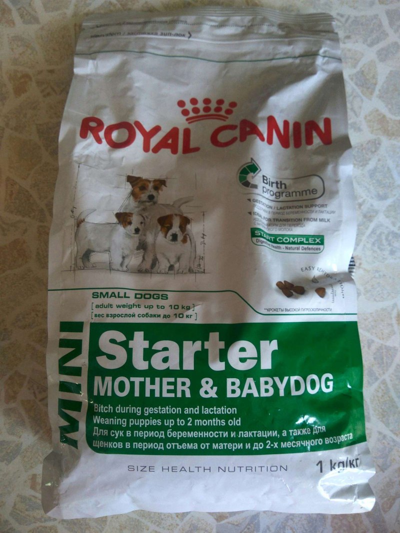 Royal Canin Mini Starter