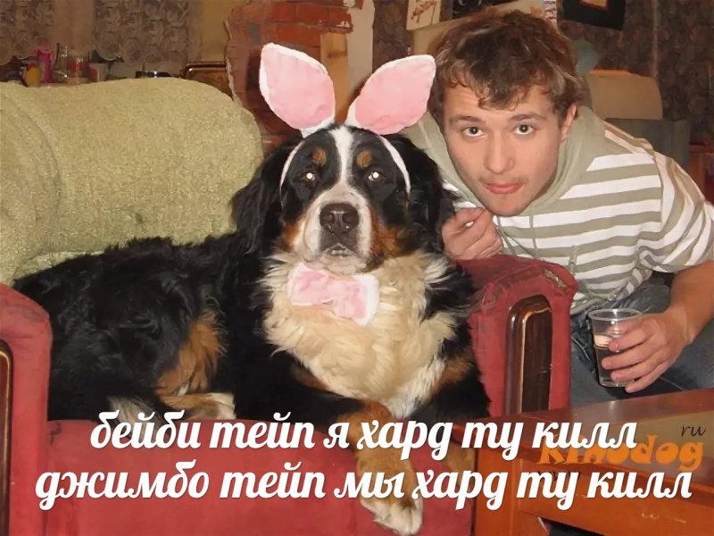 Пес Барон из счастливы вместе