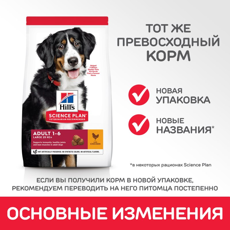 Хоум фуд корм для собак
