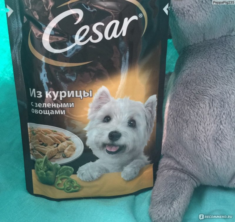 Корм Цезарь в сливочном соусе