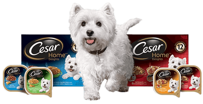 Корм для собак Cesar ягненок 24шт. Х 100г