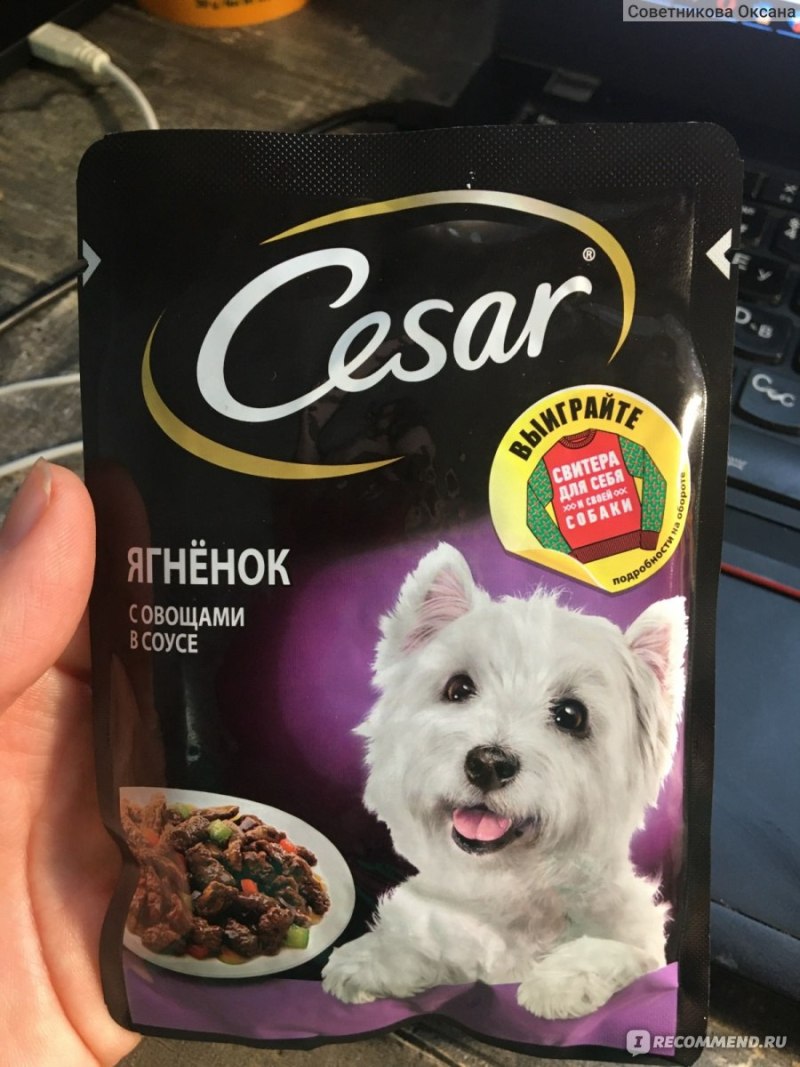 Корм для собак Цезарь говядина с овощами 100г