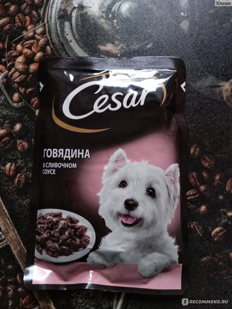 Корм для собак Цезарь говядина с овощами 100г