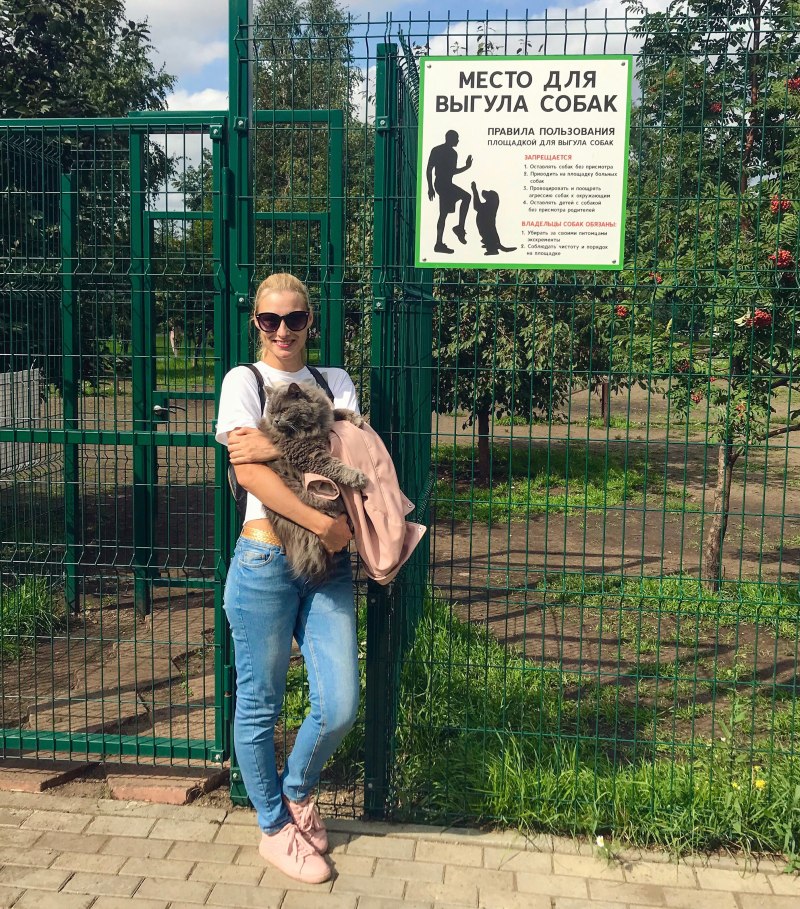 Место для выгула собак