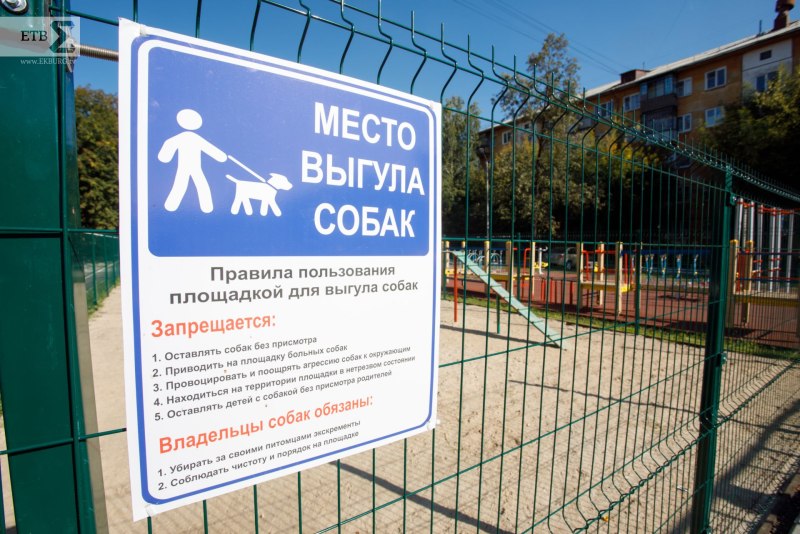 Дрессировочная площадка для собак нормативы