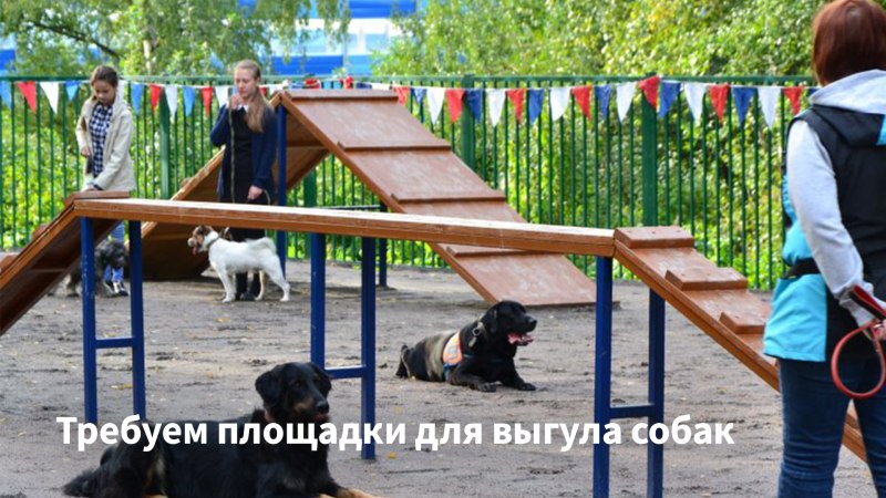 Площадка для собак