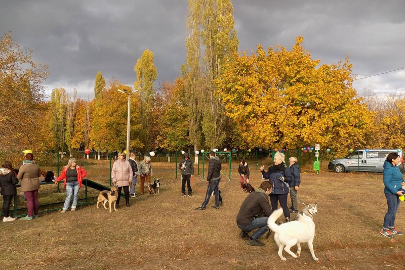 Площадка для выгула собак