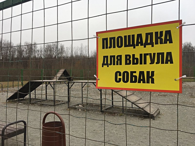 Собачники на площадке
