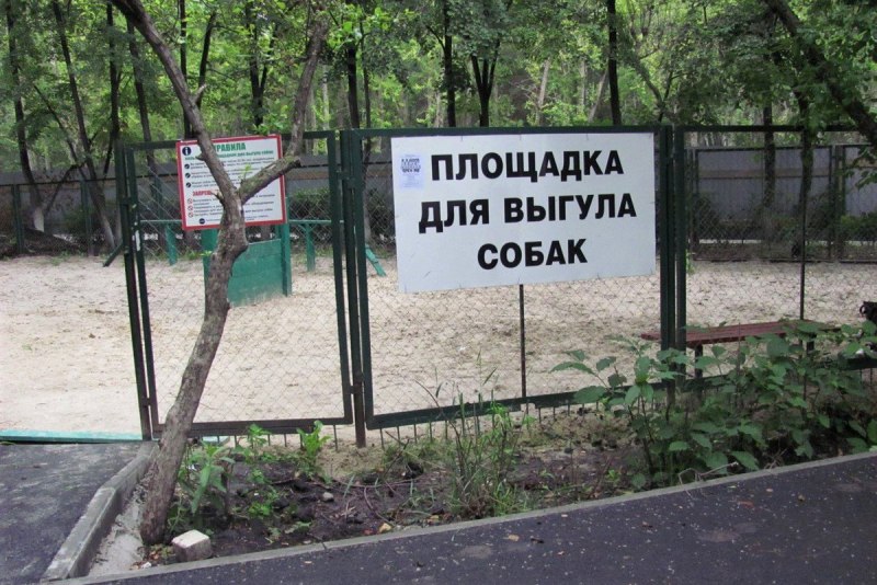 Место для выгула собак