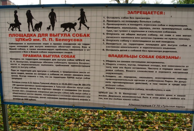 Парк для собак в Москве