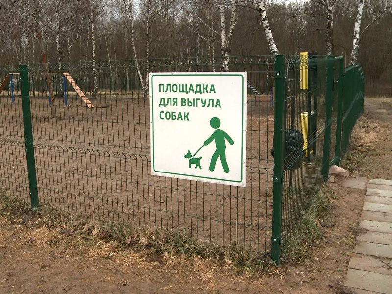 Собачья площадка Борисовские пруды