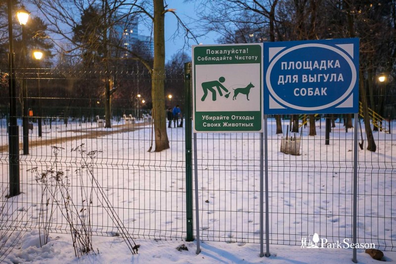 Площадка для дрессировки собак проект