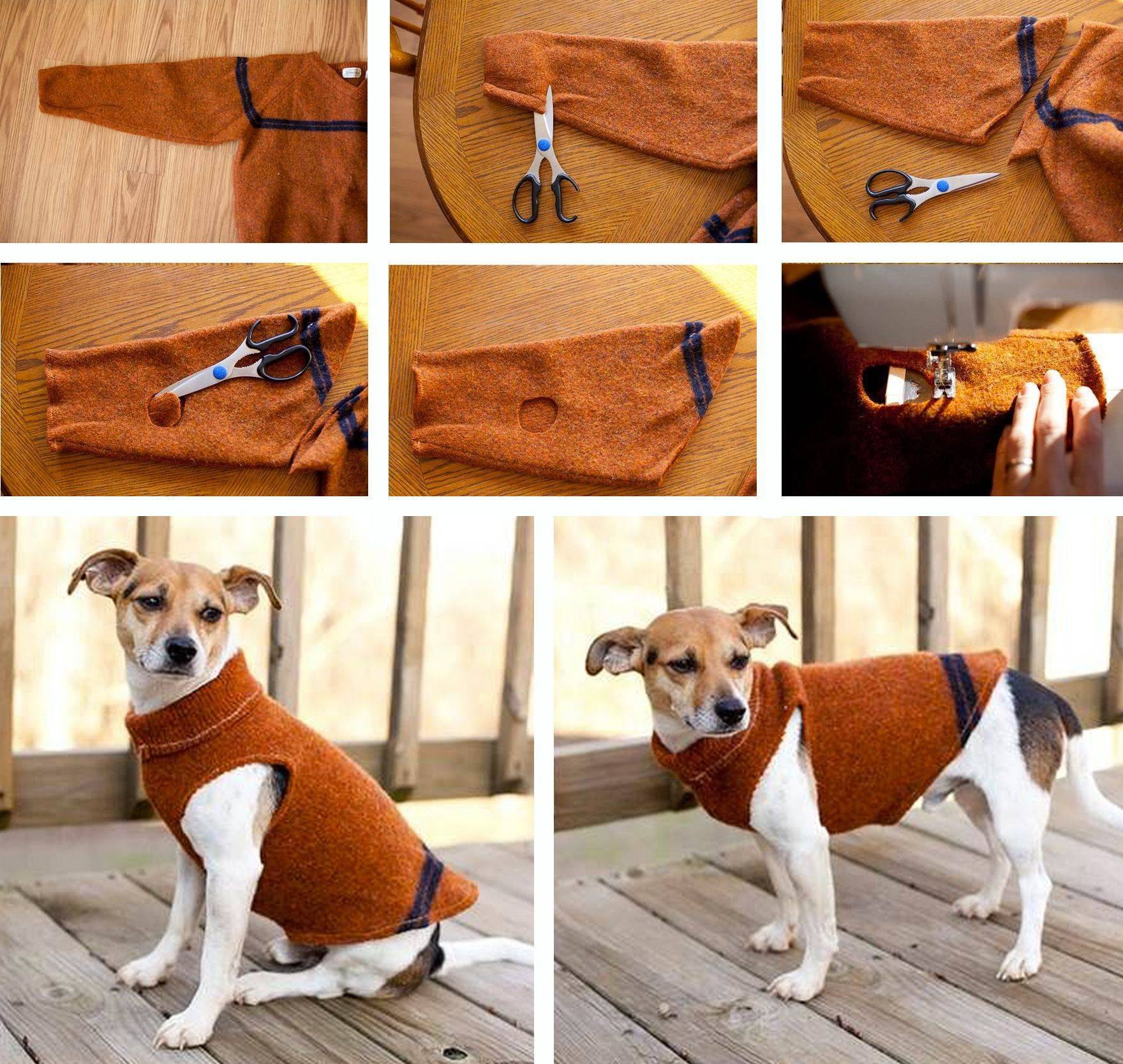 Как сшить собаке одежду из старых вещей