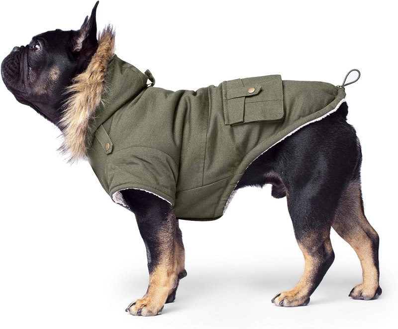 Canada pooch для собак