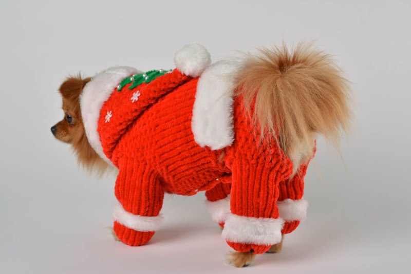 Вязаные костюмчики для собак