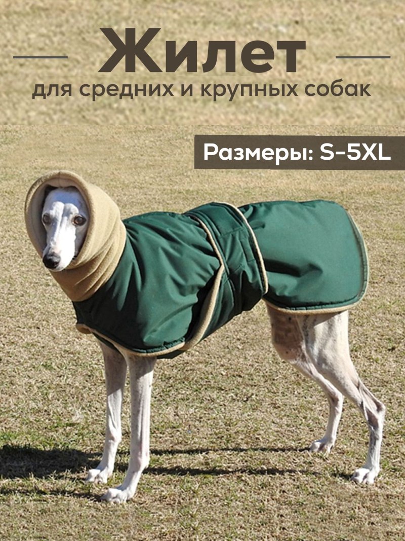 Филя шлейка для борзой уиппета