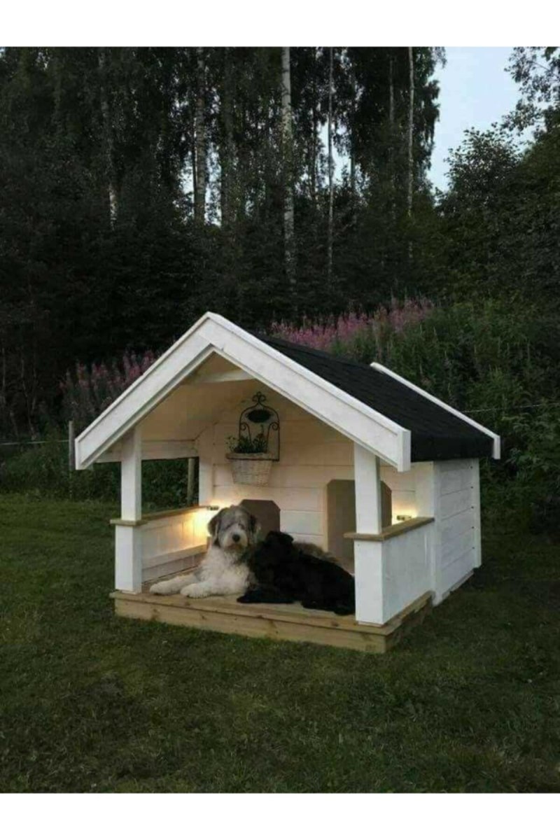 Будка для собаки и кота