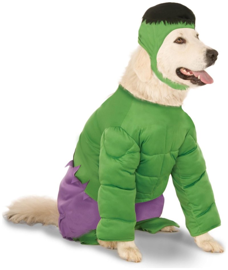 Одежда для собак Hulk