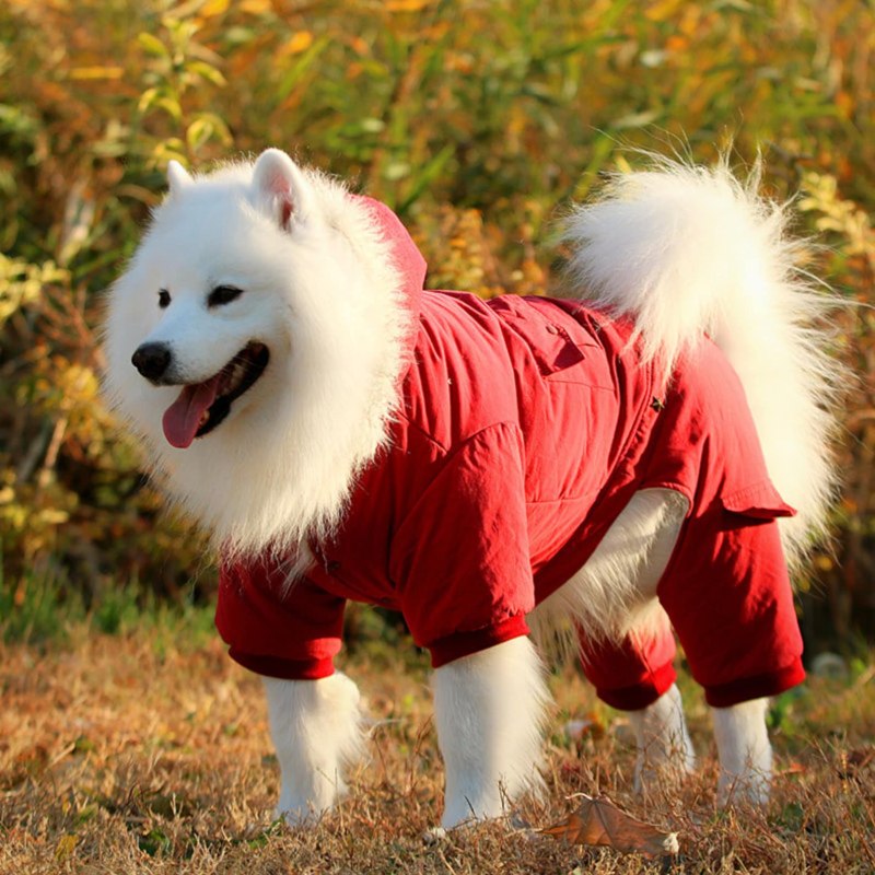 Комбез для самоеда