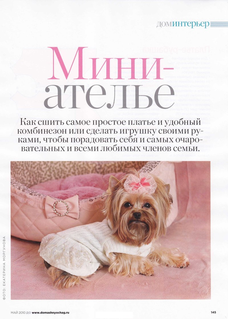 Журналы по одежде для собак