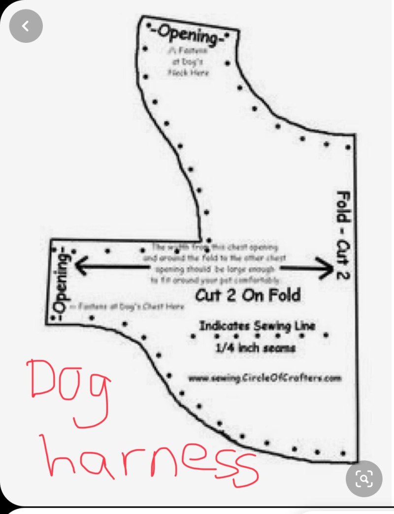 Выкройка одежды для собак