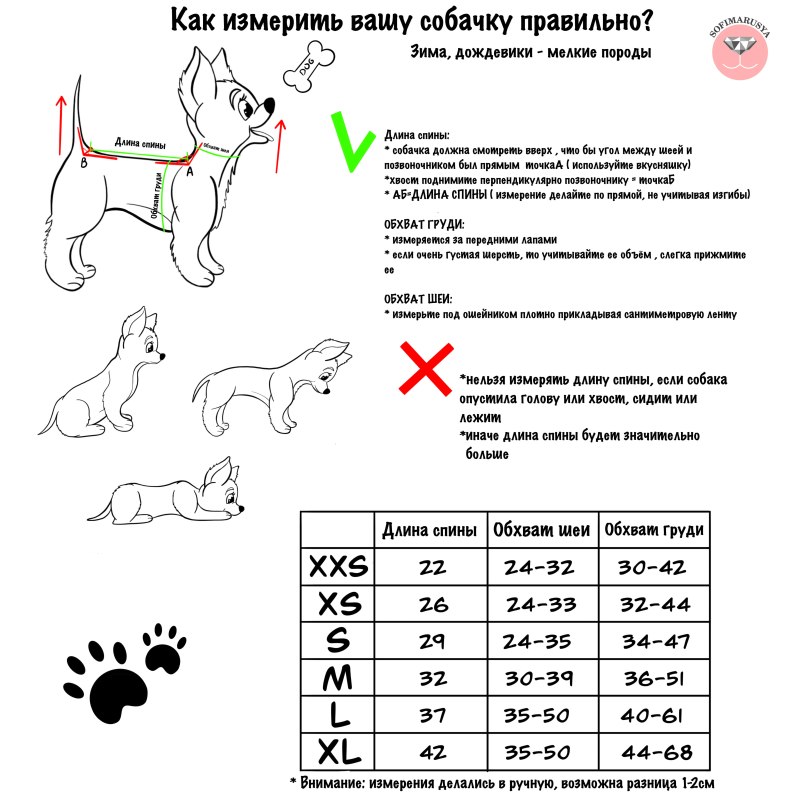 XS размер на маленьких собак