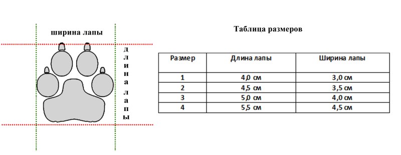 Размерная сетка ботинок для собак